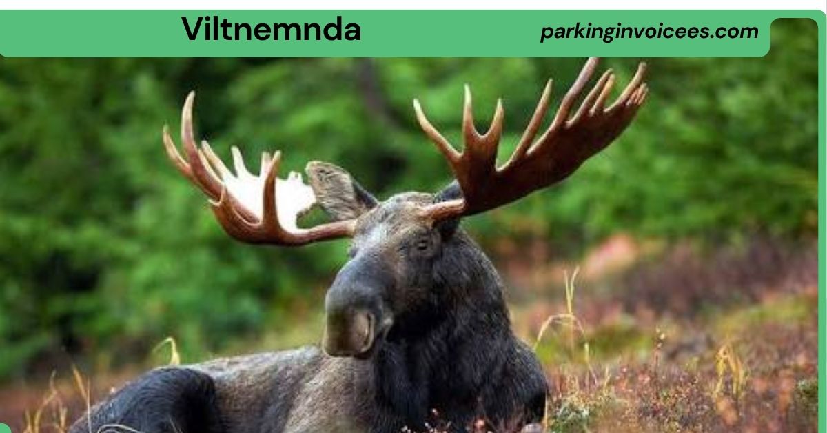 Viltnemnda