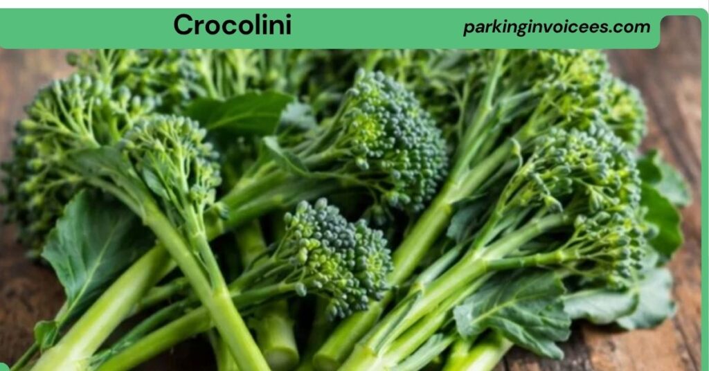 Crocolini